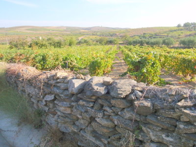 Stoneworks, grapes, olives, and almonds.